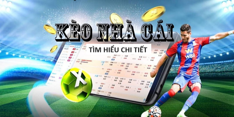 oxbet-Tận hưởng cảm giác tin cậy với trang cược xanh chín!